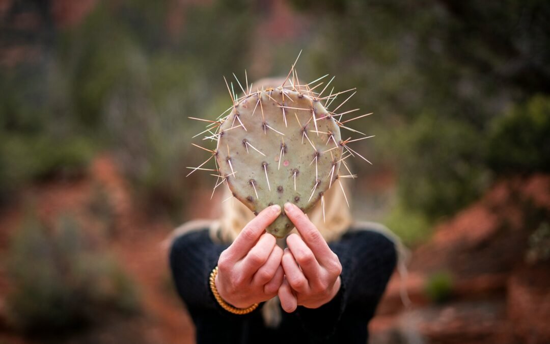 Falling in love with Anger: How you can too